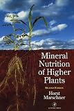 Produkt-Bild: Mineral Nutrition of Higher Plants (Special Publications of the Society for General Microbiology)