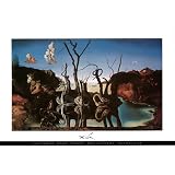 Salvador DALI Swans Elephant Poster Art Salvatore Dahli - 36x24