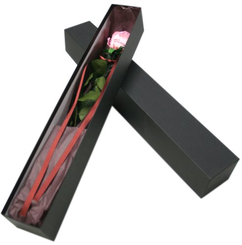 メッセージローズ (Preserved Rose) エモーション~恋のミサイル~ピンク 【Happy Birthday】 22200