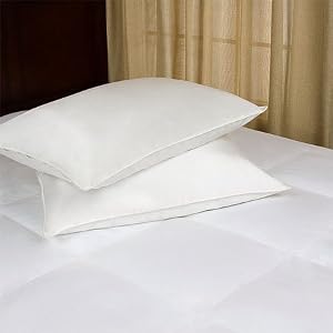 Joseph Abboud Set of 2 460TC Down Alt. Pillows, Queen by Joseph Abboud