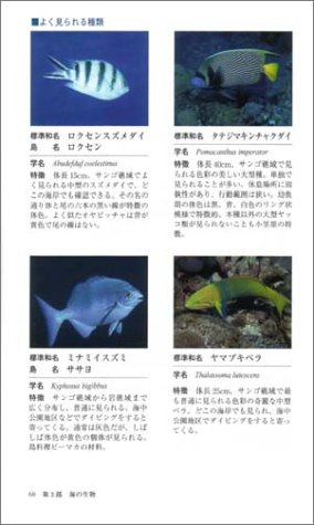 Cover image : 小笠原ハンドブック―歴史、文化、海の生物、陸の生物 (小笠原シリーズ)