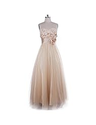 Beaded Lace Fitted  Dress