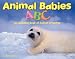 Book Animal Babies ABC: An Alphabet Book of Animal Offspring (A+ Books)