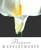 Produkt-Bild: Flowers