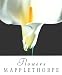 cover of Flowers