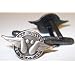 Bush Pilot Wings Sexy Biker Harley Davidson HOG Cuff Links Cufflinks Set