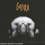 Terra Incognita an album by Gojira