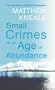 Small Crimes in An Age of Abundance