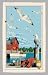 Rockport Terry Towel