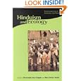 Hinduism and Ecology: The Intersection of Earth, Sky, and Water (Religions of the World and Ecology) by  Anil Agarwal, Kelly D. Alley, Fr�d�rique Apffel-Marglin, and Pratyusha Basu
