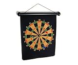 Discovery Two-Sided Magnetic Dart Board