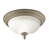Flush Mounted Light Fixtures
