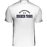 Under Armour TCU Horned Frogs Team Zone T-Shirt
