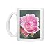 Photo Mugs of FEU-553 Miniature Pink Rose Flowers - frosted from Ardea Wildlife Pets