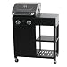 Indoor/Outdoor Living < Outdoor Grills Outdoor Gas Grill