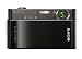 Sony Cyber-shot DSCT900B Digital Camera - Black (12.1 MP, 4x Optical Zoom) 3.5 inch LCD