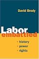 Labor Embattled: History, Power, Rights (Working Class in American History)