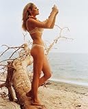 URSULA ANDRESS 11X14 COLOR PHOTO