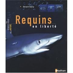 Requins en libert�