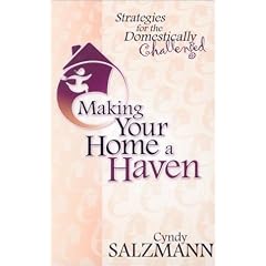 Making Your Home a Haven: Stragegies for the Domestically Challenged
