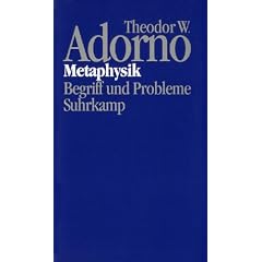 Nachgelassene Schriften, Bd.14, Metaphysik. Begriff und Probleme