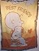 Peanuts SNOOPY & Charlie Brown Best Friends Throw Blanket Afghan New