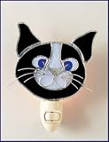Black and White Cat