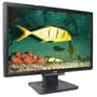 19-Inch Acer TFT Widescreen LCD Flat Panel Monitor