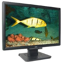 19-Inch Acer TFT Widescreen LCD Flat Panel Monitor