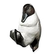 Pintail Duck Decorative Coat Hook