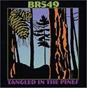Tangled in the Pines