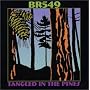 Tangled in the Pines