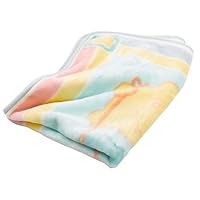 Care Bear Hi Pile Blanket