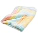 Care Bear Hi Pile Blanket