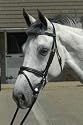 JW3 Super Deluxe Flash with Rubber Reins (convertible)-Black - Cob