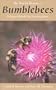 Natural History of Bumblebees: A Sourcebook for Investigations