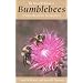 Natural History of Bumblebees: A Sourcebook for Investigations