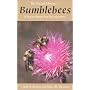 Natural History of Bumblebees: A Sourcebook for Investigations