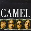 Master Series: Camel