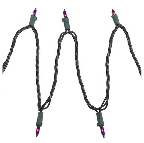 Bethlehem Lighting Indoor Outdoor Miniature 50-Christmas Light Set - Purple with Green Wire