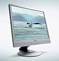 Fujitsu P19-2 48,3 cm (19 Zoll) TFT Monitor weiß (Kontrast 1000:1, 8ms Reaktionszeit, DVI)