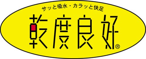 OKA 乾度良好 リオン バスマット 50×80cm イエロー