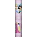 Disney Princess Heart Roll Wrap