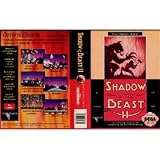 Shadow of the Beast 2