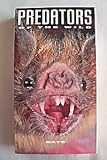 BATS Predators of the Wild