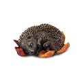 Tom Chambers Res37 Russell Asleep Hedgehog