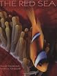 The Red Sea (Secrets of the Sea)
