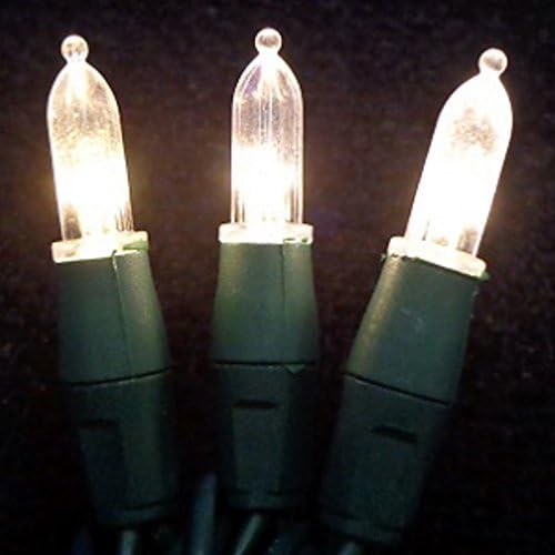 50 Bulb Smooth Warm White M5 Color-Rite Interchangable Bulb Light String