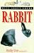 All About Your Rabbit (All About Your...Series)