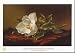 Magnolia Grandiflora by Martin Johnson Heade Fine Art Print / Poster 27.50 x 19.75 in...